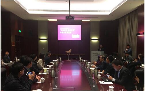 陈义红博士在“中新创客 融通互联”中新创业交流会上演讲