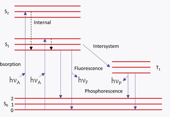 PL(photoluminescence) PL(photoluminescence)