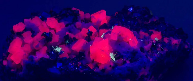 flsorescence flsorescence