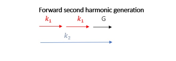 RAICOL-FSHG-1.jpg